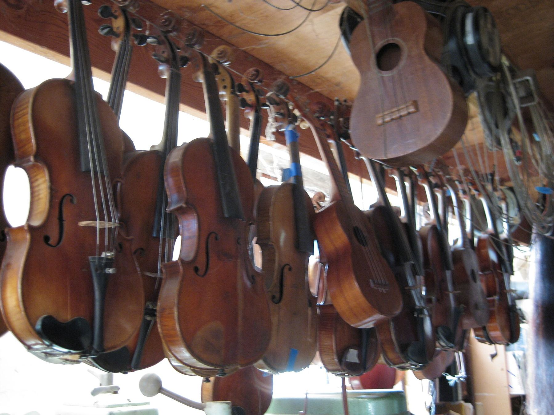 Violins and other string instruments hanging from a rack in a luthier's workshop