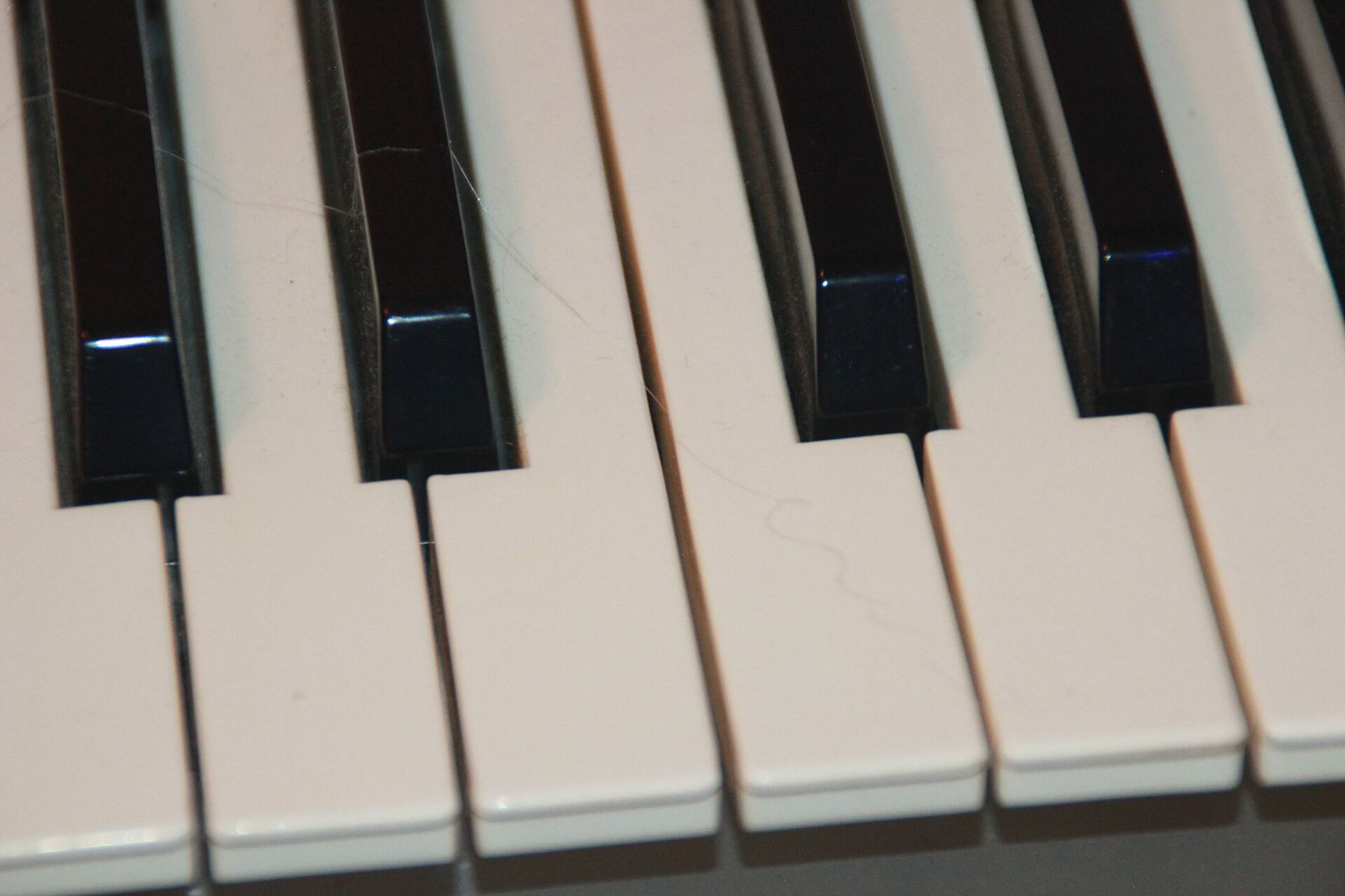 Close-up of black and white piano keys
